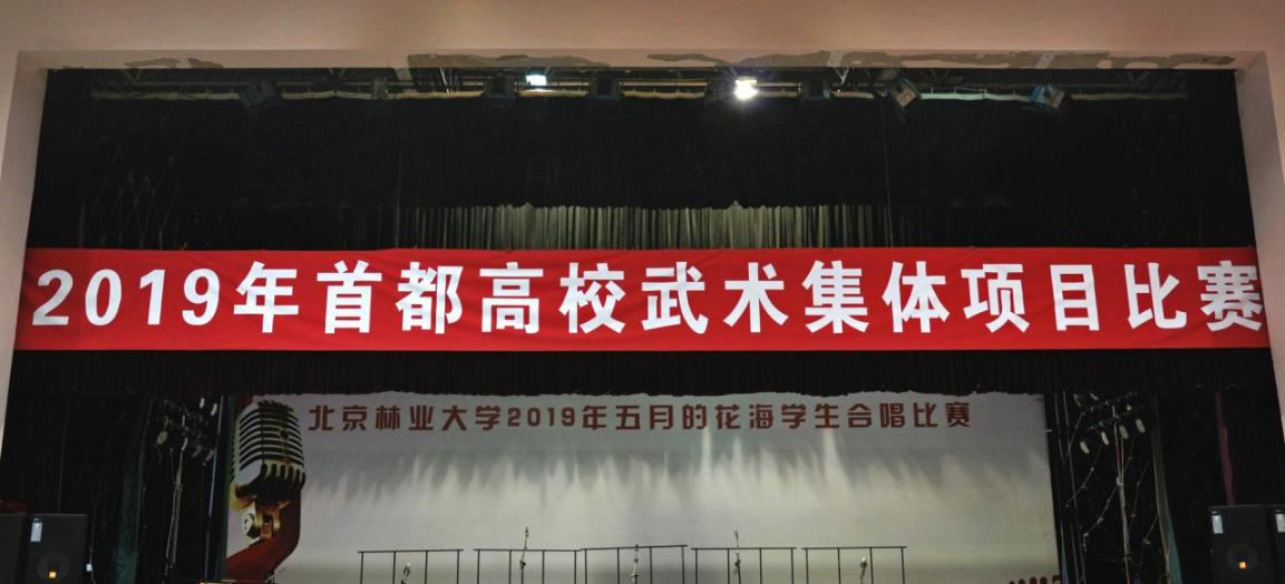 球探体育官方线路