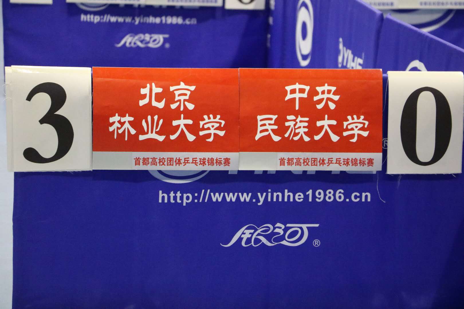 球探体育欧冠直播