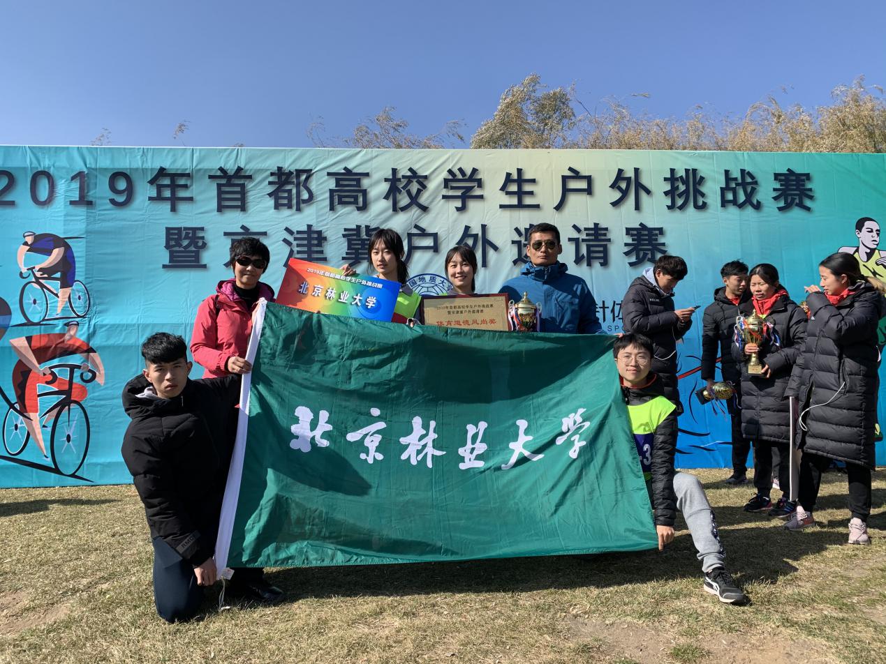 球探体育稳定线路