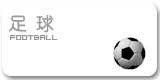 球探体育欧洲杯图片