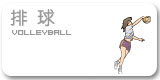 球探体育欧洲杯图片