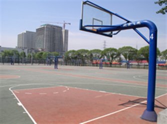 球探体育直播图片