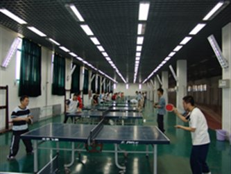 球探体育稳定线路图片